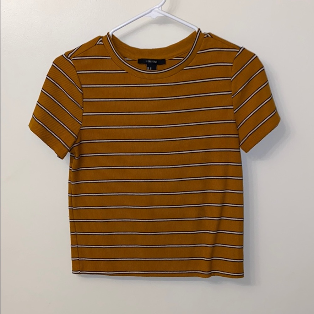 Orange crop top